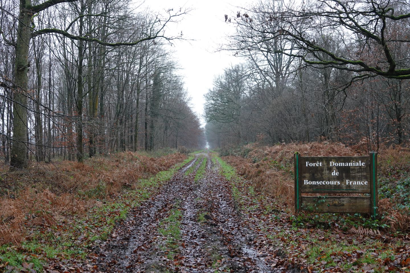 Bos van Bon-Secours