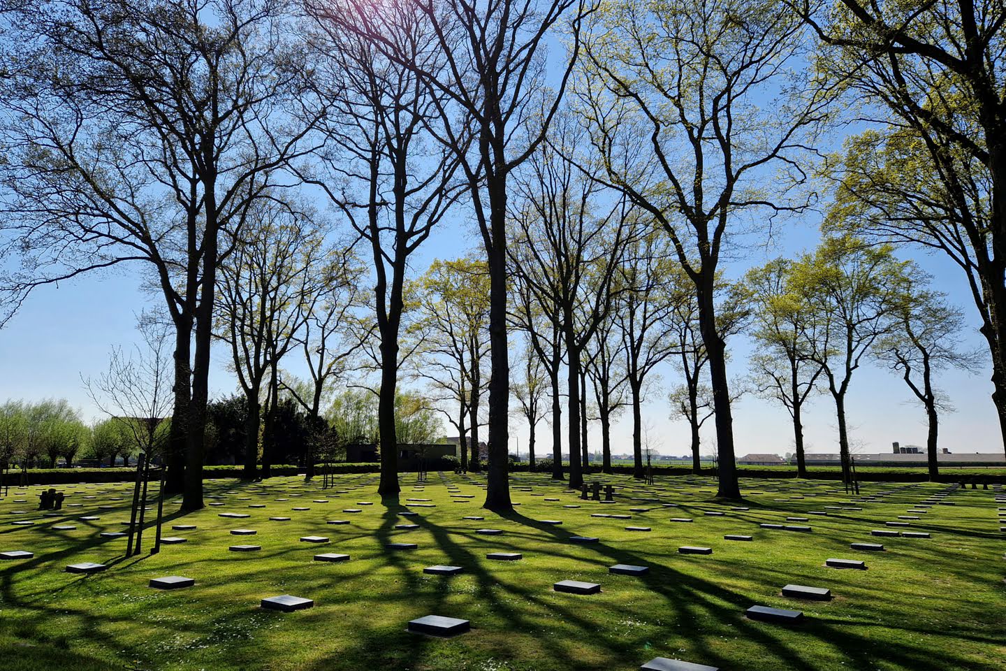 Duitse Militaire Begraafplaats Langemark