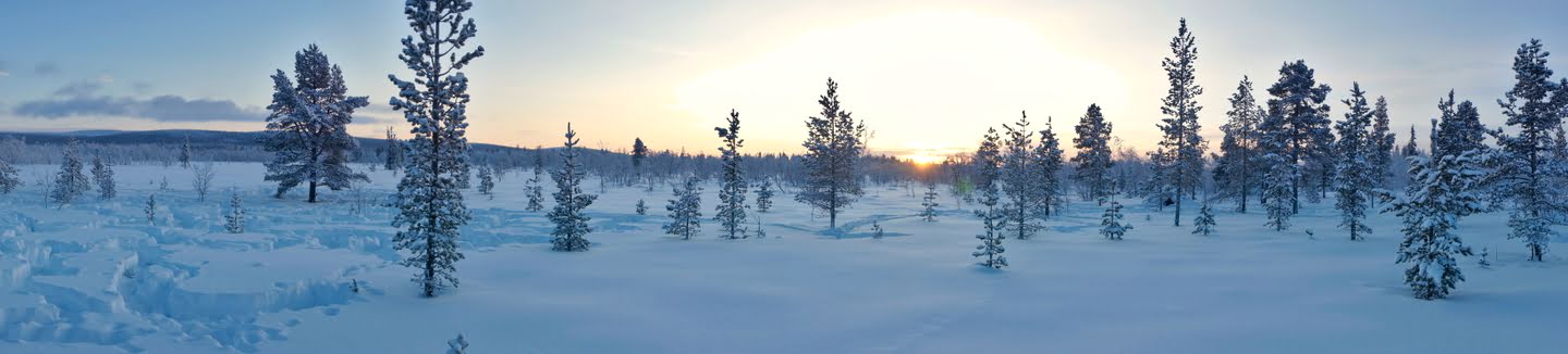 Zweeds lapland