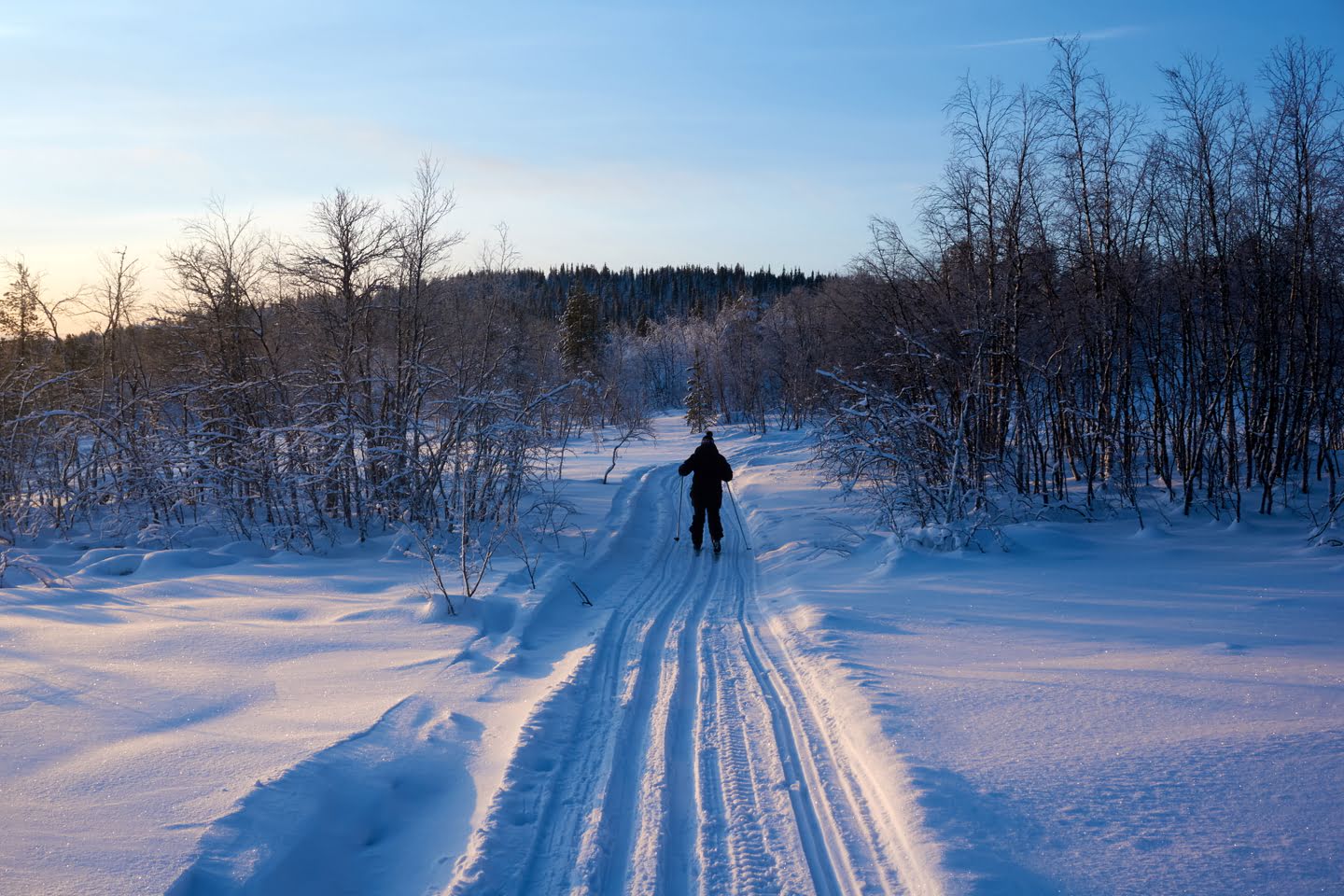 Cross Country Ski