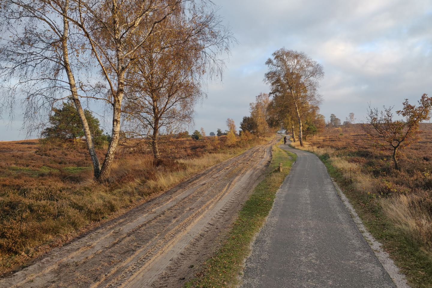 De leuke fietspaden