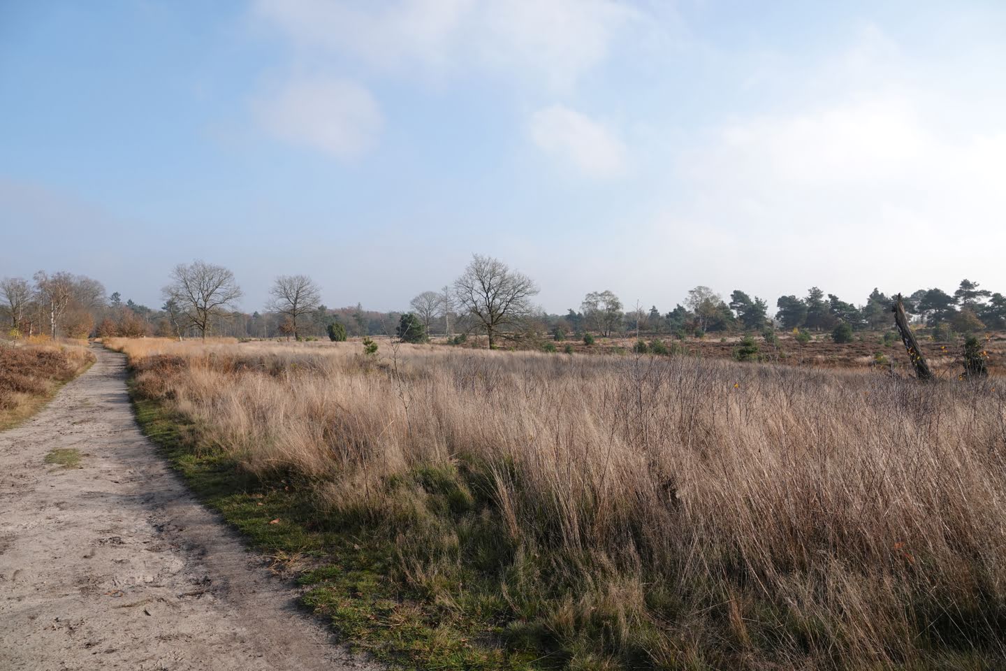 Wandelen in de heide