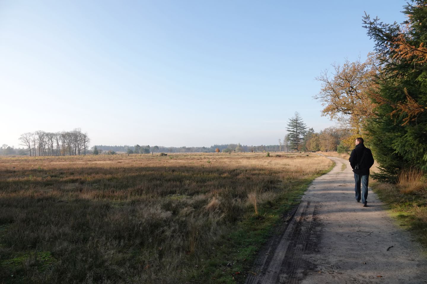 Wandelen in de heide