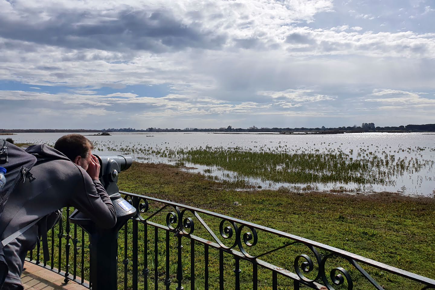 Uitzicht op de moerassen aan de rand van El Rocío