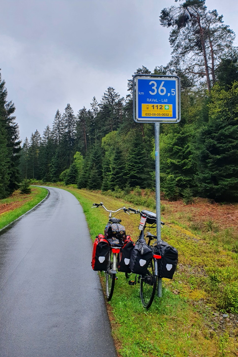 De bossen van de Eifel