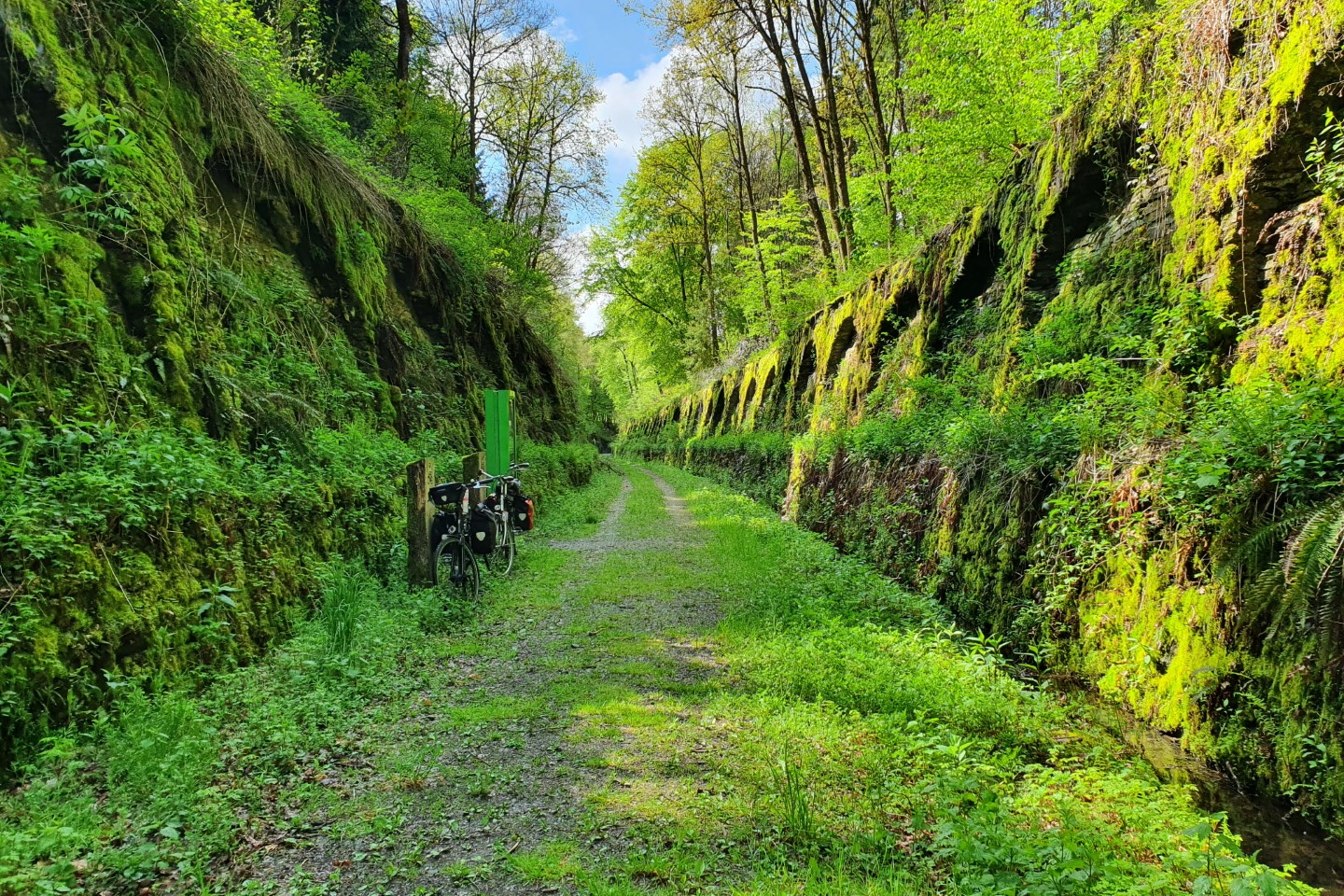 Vleermuizentunnel