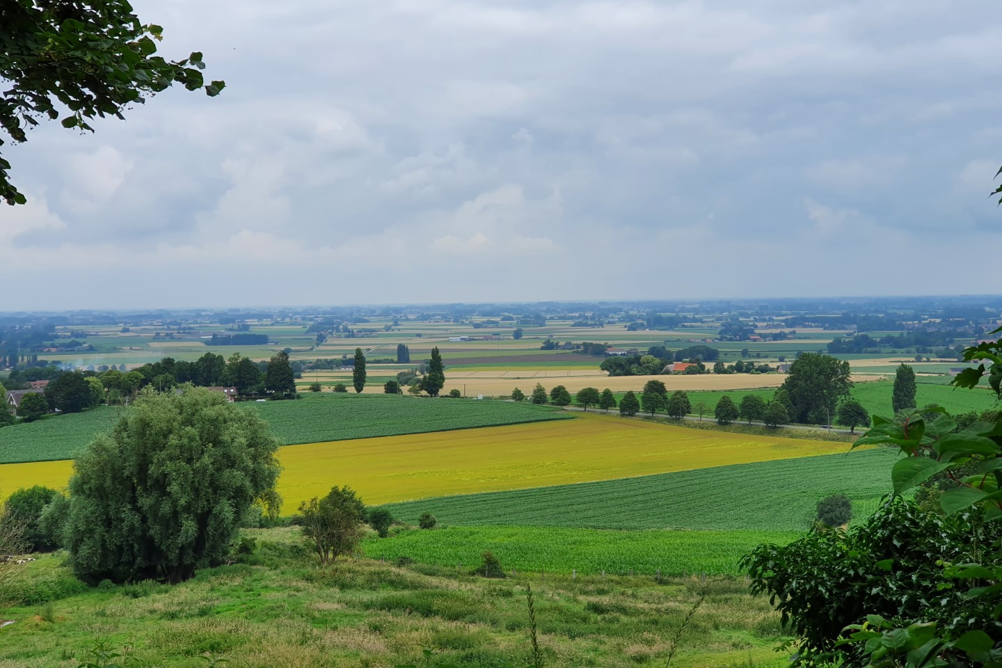 Uitzicht vanop de Casselberg